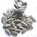 Raw 361,363,5009,601 Sunflower Seeds from Inner Mongolia Factory